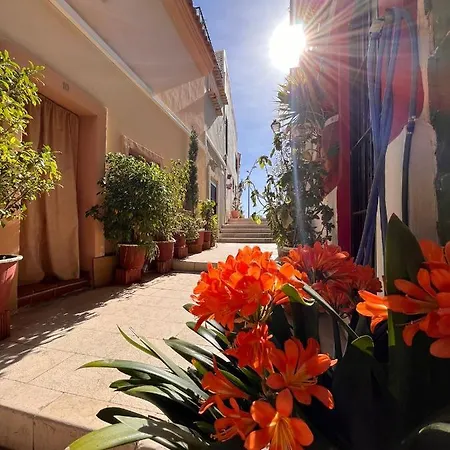 Daire Hanna's Estudio Deluxe *