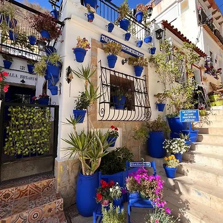 Hanna's Estudio Deluxe Daire Alicante