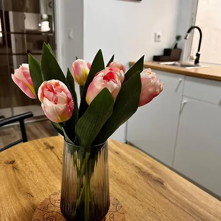 Hanna's Estudio Deluxe Daire